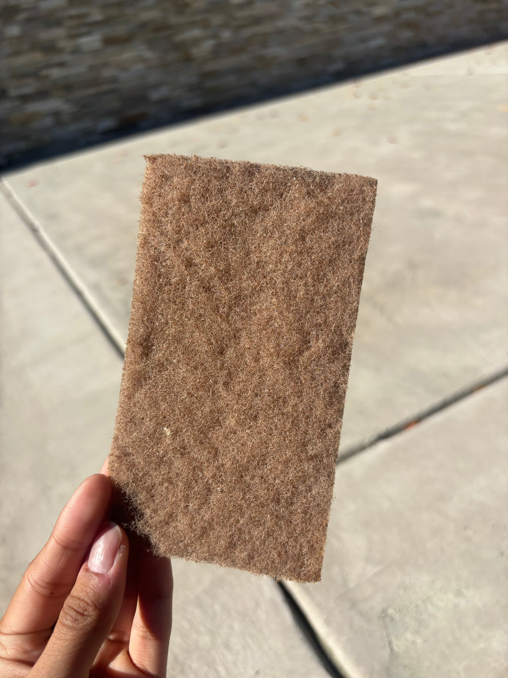 Coir Scrubbers (Set of 4)